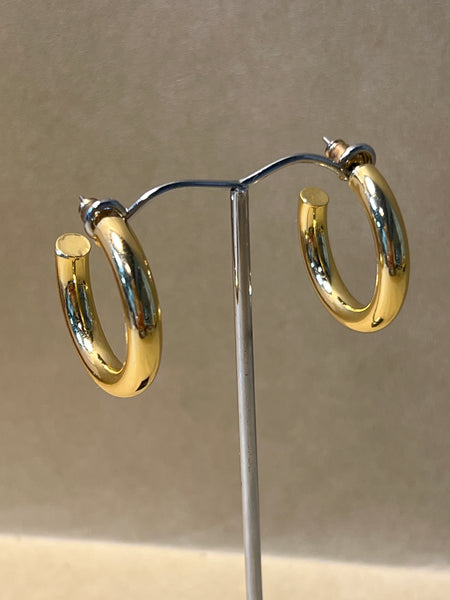 Gold Tone Hoop Earrings