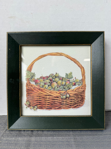 Basket of Gooseberries Framed Print by Bambi Papais