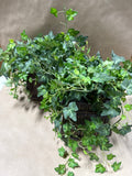 Pair Of Faux Greenery Plants