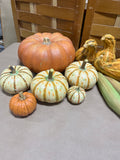 Decorative Pumpkins, Corn and Gourds