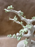 Lenox Miniature Ornament Figural Tree (Tree Only)