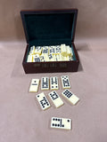 Dominos Set In case