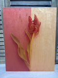 Tulip Photo Transfer Wall Art by Deborah Schenck
