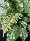 Faux Assorted Greenery in Woven Basket Planter