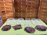 Huge Lot of Lock & Lock Plastic Food Storage Containers, 15 pc