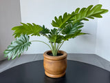 Artificial Philodendron in Wooden Pot