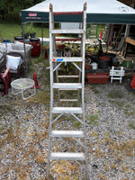 Sears 6’ Aluminum Folding/Extension Ladder