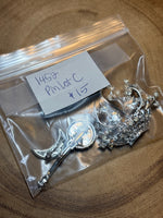 (C) Pin Lot