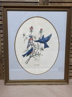Eastern Bluebird Limited Edition Print by E. Dudley Williams; Signed