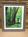 Green Japanese Style Garden Photograph