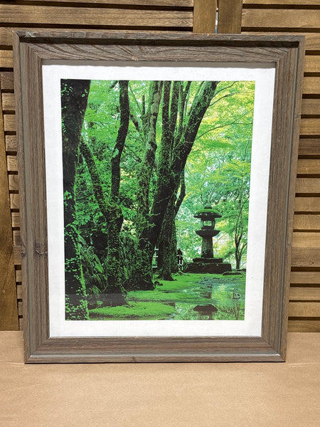 Green Japanese Style Garden Photograph