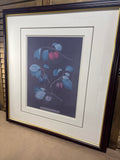 Pomona Britannica Print by George Brookshaw Plate XIV