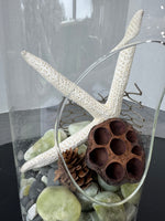 Blown Glass Terrarium Vase with Nautical Accents