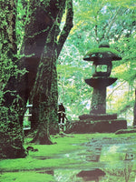 Green Japanese Style Garden Photograph