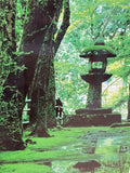 Green Japanese Style Garden Photograph