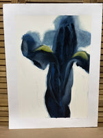 (A) Black Iris Print by Cynthia Nartonis; Signed & Numbered * PRINT ONLY/NO FRAME