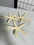 Set of 3 Decorative  10" Star Fish