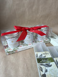 Christmas Candle Lot - Appears Unused