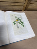 The Birds Of America Water Color Paintings Coffee Table Book