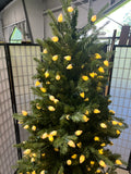 Bethlehem Lights 7 ft. Pre-Lit Artificial Christmas Tree