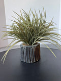 Artificial Grass Plant in Faux Stick Bundle