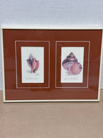 (B) Shell Prints; Signed & Numbered Artist; Lee