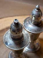 Sterling Weighted S & P Shakers