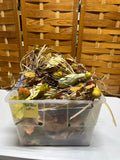 Fall Decor Lot