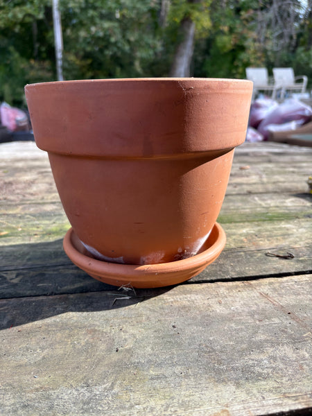 8” Terracotta Pot + Saucer