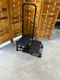 Two Step Stool with Adjustable Handle