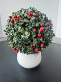 Small Faux Holly Berry Boxwood in White Ceramic Pot