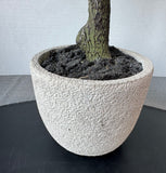 Artificial Fiddle Leaf Tree in Stone Pot