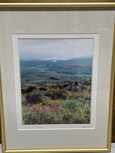 Photo of Ireland Landscape