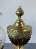 Antique Brass Argand Electric Converted Oil Lamp AS IS (READ DESCRIPTION CAREFULLY) (A)