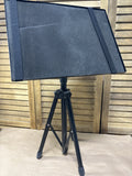 Laptop/Projector Presentation Stand
