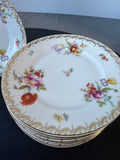 10-Piece Tirschenreuth Bavaria 3810 Old Meissen Floral Salad Plates