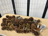 Pine Cone Lot