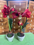 Pair of Faux Red Amaryllis Flowers in Cream Color Ceramic Pots (E)