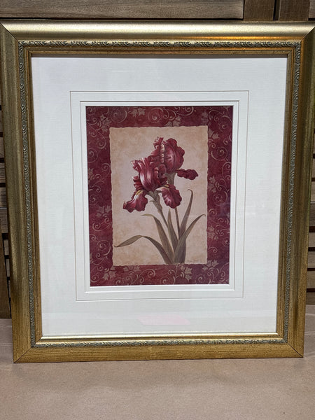 Iris Print