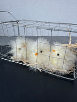 Farmhouse Metal Wire Basket with Faux Fuzzy Chicks