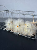 Farmhouse Metal Wire Basket with Faux Fuzzy Chicks