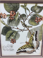 Whimsical Butterfly I Print