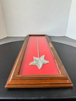 Sequined Wand in Frame Titled “Star on Stick”