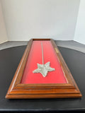 Sequined Wand in Frame Titled “Star on Stick”