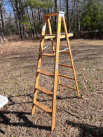 Werner 6' Wooden Ladder