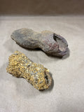 Pair Of Odd Shaped Specimens