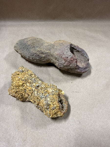 Pair Of Odd Shaped Specimens