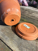 8” Terracotta Pot + Saucer