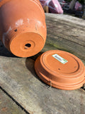 8” Terracotta Pot + Saucer