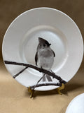 Pier 1 Snow Forest Titmouse Salad Plates — Pair (C)